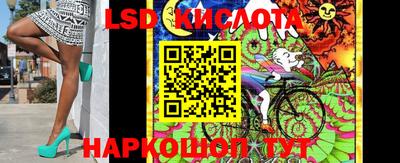 винт Ачхой-Мартан