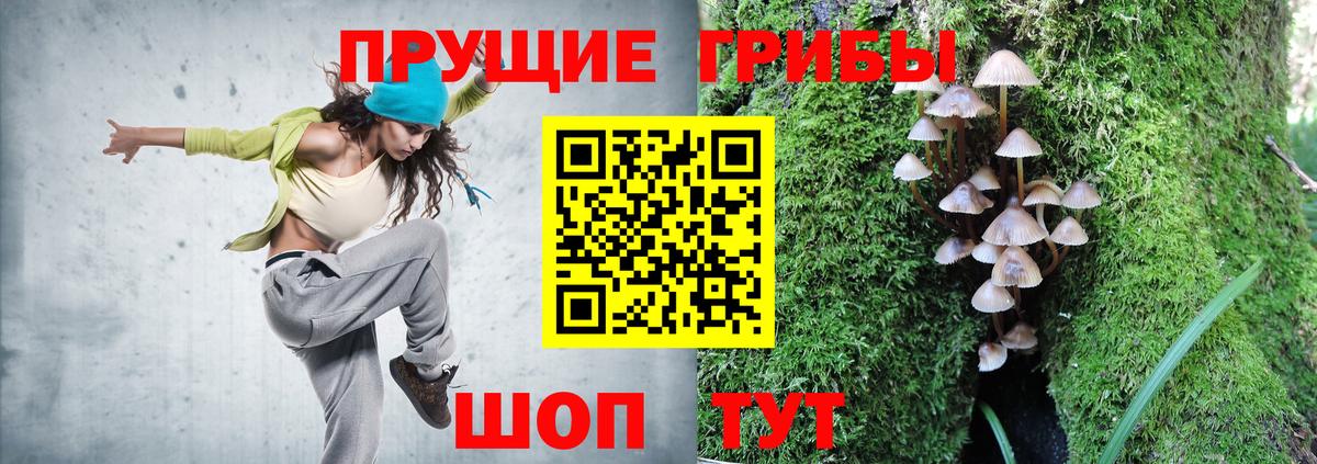 Галлюциногенные грибы прущие грибы  Галлюциногенные грибы MAGIC MUSHROOMS  цена   Воскресенск  Вход с VPN 