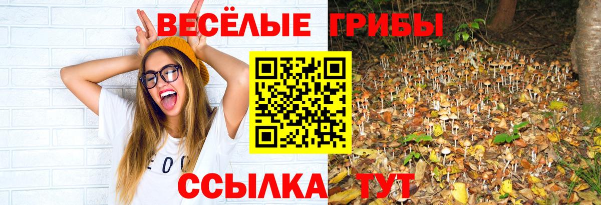 Галлюциногенные грибы ЛСД Воскресенск